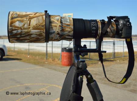 Photo d'une 500mm f4 sur une t�te de tr�pied gimbal
