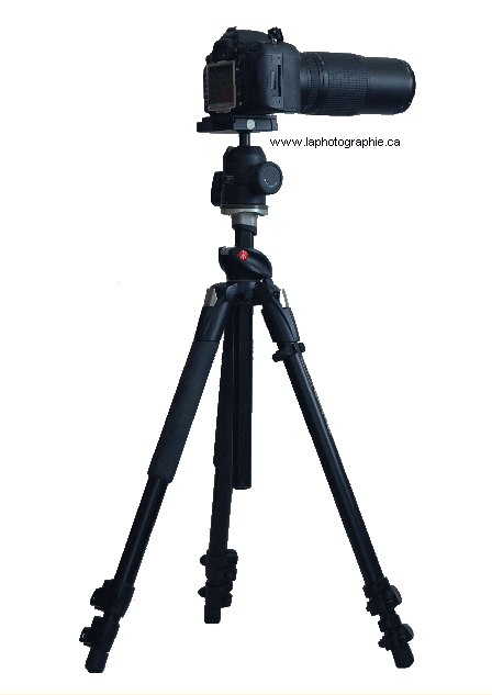 Photo d'un tr�pied pour appareil photographique
