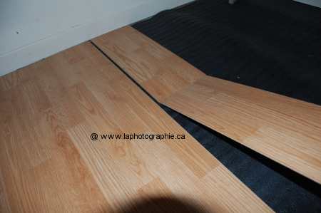 Photo de l'ombre caus� par l'objectif au bas de la photo