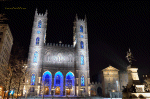 Photo de l'�glise Notre Dame de nuit
