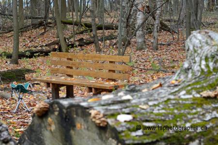 Photo de la position stable pour l'appareil