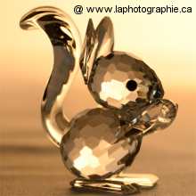 Photo d'un objet de verre sur fond clair